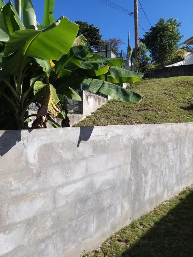 Aquaverde Eco Et Confort- Bas De Villa Avec Jardin Et Parking Le Gosier  Ngoại thất bức ảnh